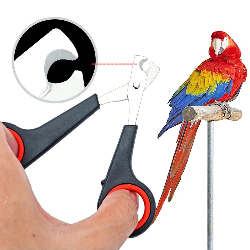 Grooming Scissors - Ножницы для стрижки когтей домашних птиц